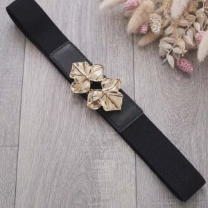 ceinture noire