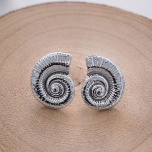 boucles d'oreilles argentées